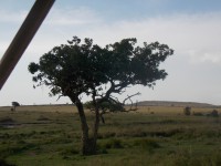 /album/galerie-photos/dscn0857-jpg/