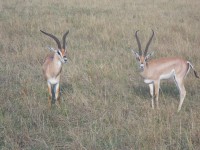 /album/galerie-photos/dscn0862-jpg/